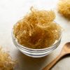 Siêu Thực Phẩm Rong Sụn (Sea Moss) Là Gì? 92 Khoáng Chất Bồi Bổ Cơ Thể