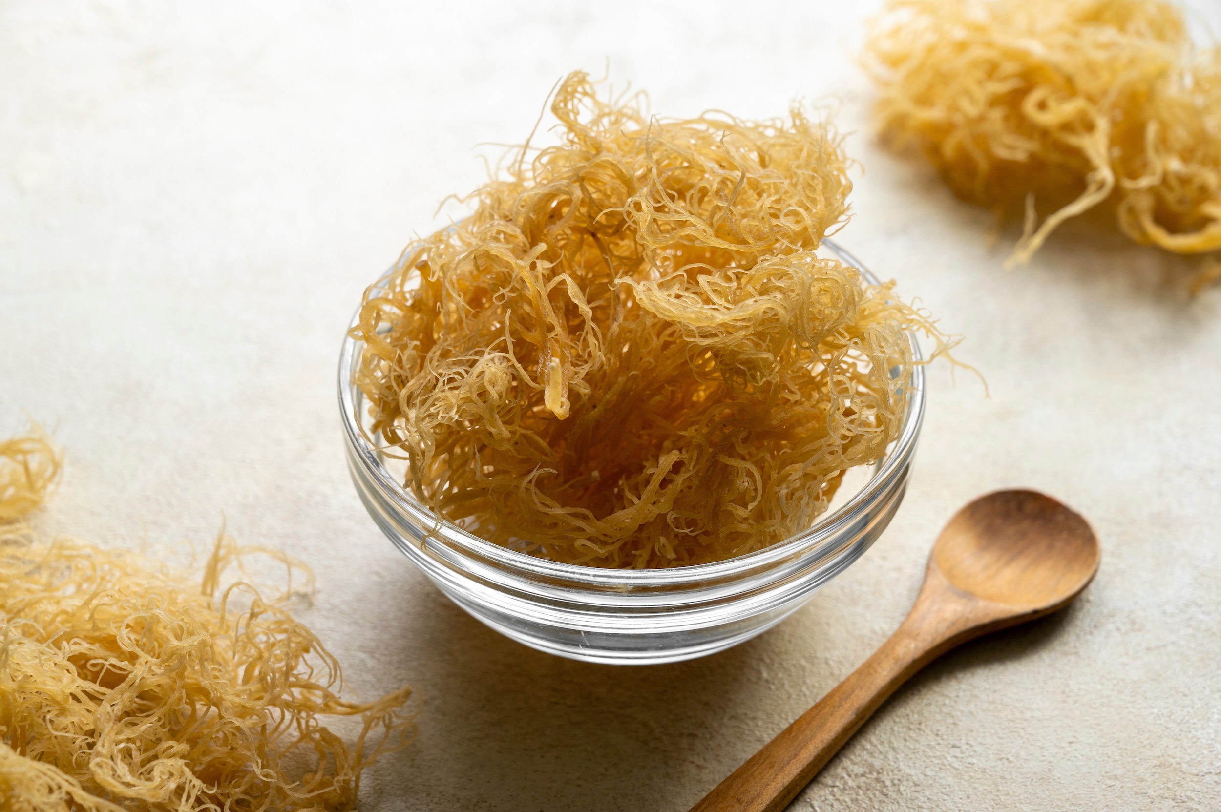 Siêu Thực Phẩm Rong Sụn (Sea Moss) Là Gì? 92 Khoáng Chất Bồi Bổ Cơ Thể